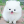 catsmeowjmn